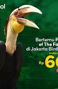 Tiket Masuk Jakarta Bird Land Ancol